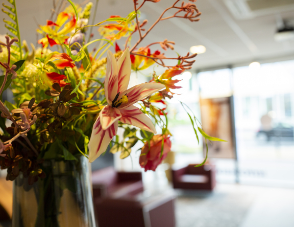 Een bloemetje fleurt de entree van ons kantoor voor hypotheekadvies op