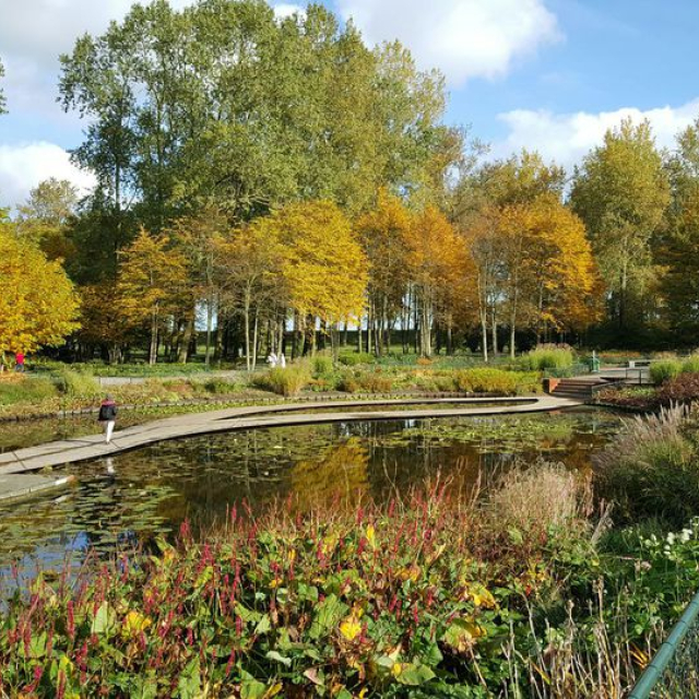 Bosgebied met een waterstrook