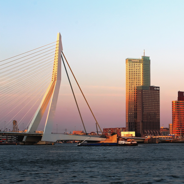 Rotterdam met bedrijfsgebouwen en de Erasmusbrug