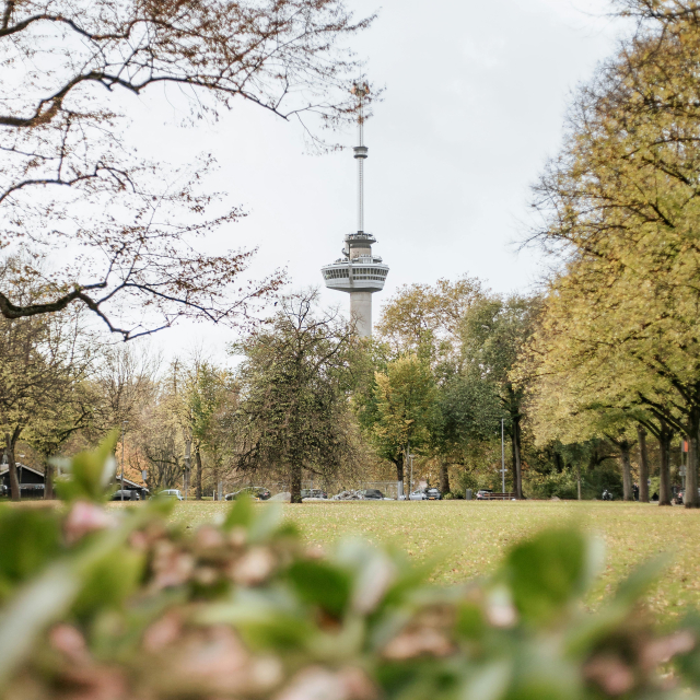 Rotterdam Euromast